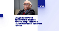 ТАСС: Владимира Лукина единогласно избрали почетным президентом Паралимпийского комитета России